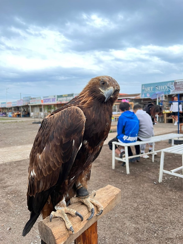 Путешествие по Монголии. 3 часть Природа, Туризм, Путешествия, Монголия, Горы, Пейзаж, Длиннопост