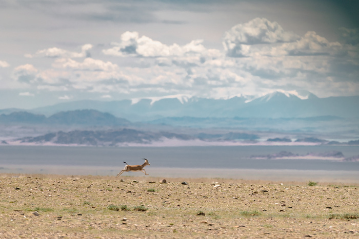 Путешествие по Монголии. 3 часть Природа, Туризм, Путешествия, Монголия, Горы, Пейзаж, Длиннопост