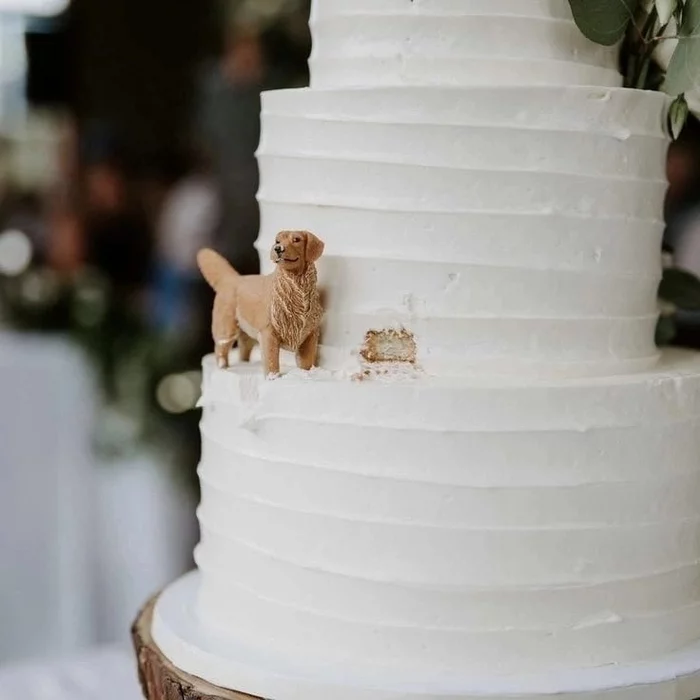 Little family member cake idea - The photo, Cake, Wedding, Dog, Figurines, Miniature, Design, Idea, Longpost