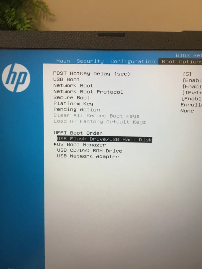 Notebook hp laptop 15s-eq2124 does not see the bootable flash drive - My, Notebook, Help, Computer help, Text, Longpost