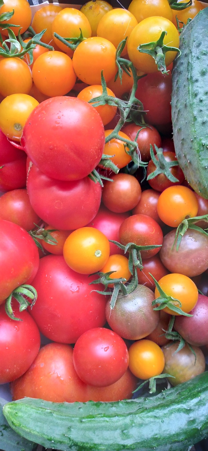 Урожай 2022. Часть1