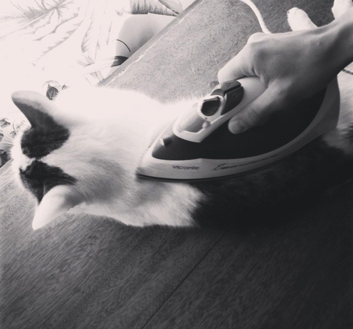 ������� ����������