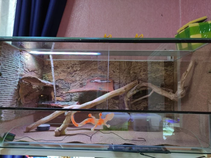 New terrarium for eublefars - My, Eublefar, Terrariumistics, Terrarium, Background for the terrarium, Breeding, Gecko, Longpost