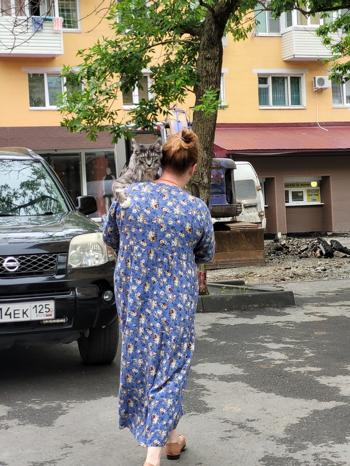 ������������, ������ ���