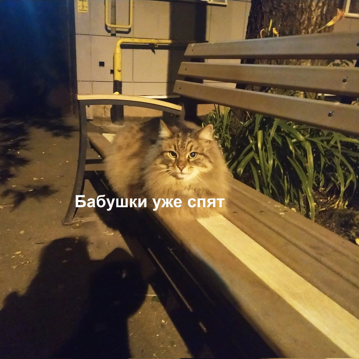   ,   ,  , 