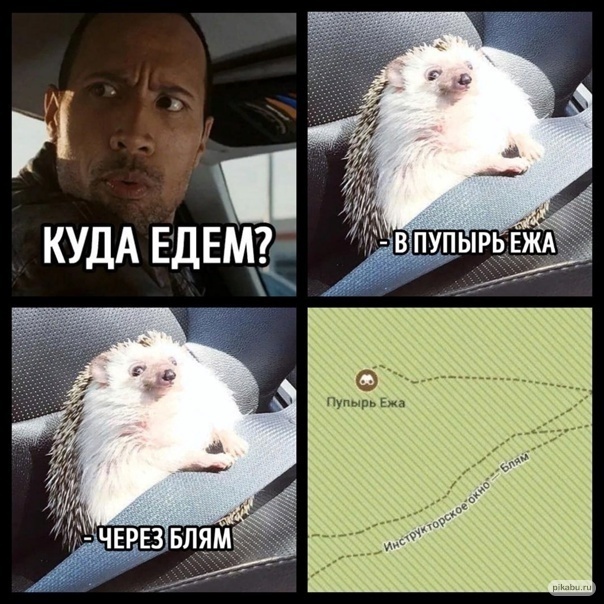 Pupyr Hedgehog. What does this place really look like? - My, Caucasus, Туристы, Travel across Russia, Mountain tourism, Longpost, Toponymy, Memes, Picture with text