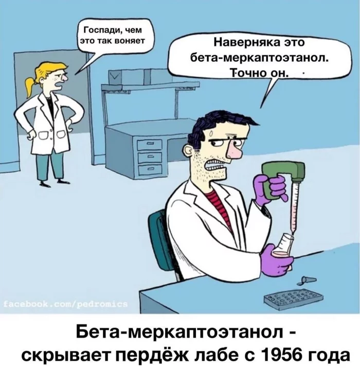 laboratory life - Biology, The science, Laboratory, Postgraduate studies, Memes