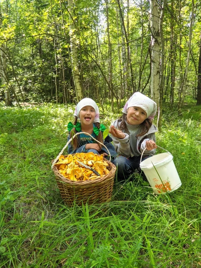 Went for mushrooms :) - My, Mushrooms, Forest, Longpost, Children