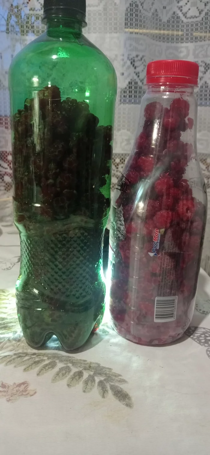 Vitamins for the winter - My, Raspberries, Short post, Longpost