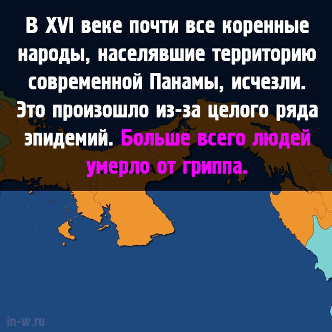 Когда говорят, что иммунитет справится с любой заразой...