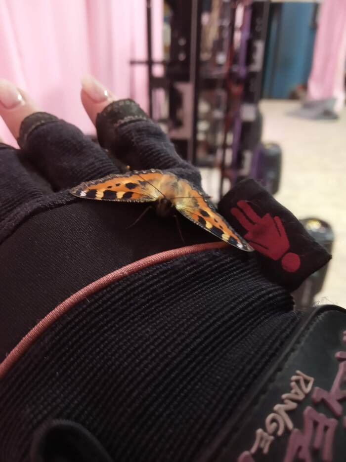 Ответ ibkmyf в «Как стать миллионером»