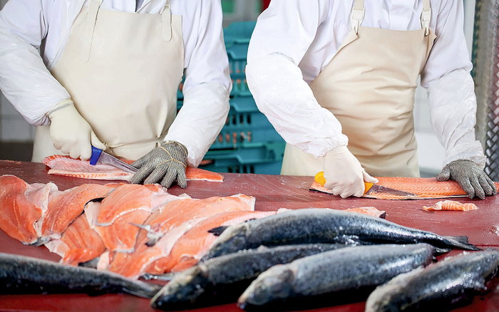 На Дальнем Востоке 14 рыбоперерабатывающих завода обеспечены на 37,5%, а должны на 70%, вместо этого рыбу продают в Китай и ЮК Новости, Россия, Дальний Восток, Рыба, Длиннопост На Дальнем Востоке 14 рыбоперерабатывающих завода обеспечены на 37,5%, а должны на 70%, вместо этого рыбу продают в Китай и ЮК Новости, Россия, Дальний Восток, Рыба, Длиннопост