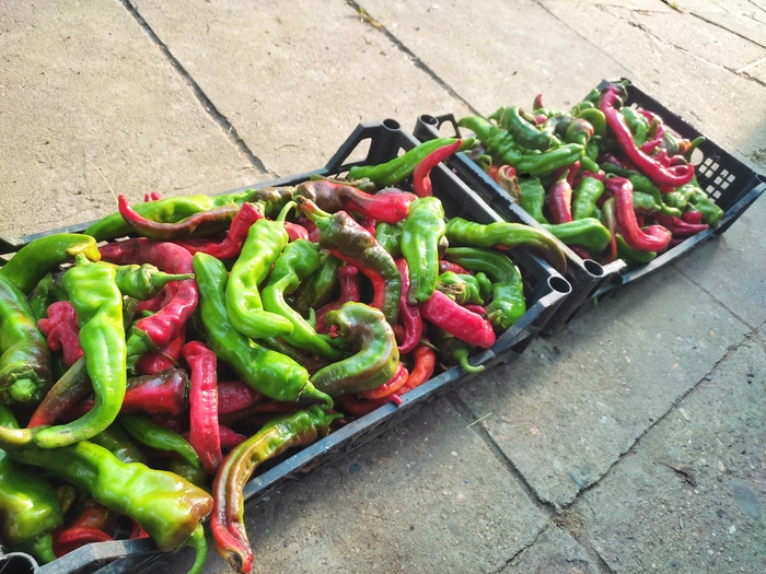 Готовимся к заготовкам на зиму