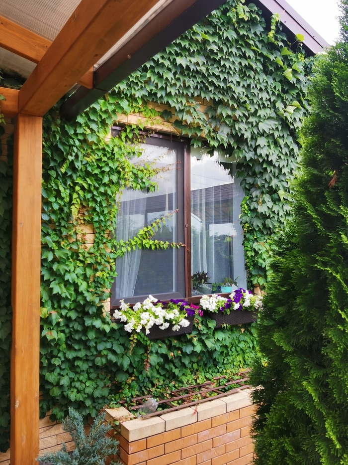 Утепление готового дома