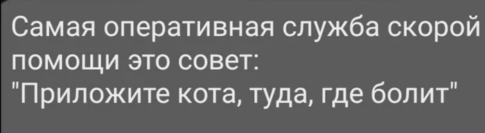 Помоги себе сам - Картинка с текстом, Помощь, Кот, Народная медицина, Скорая помощь, Здоровье, Лечение