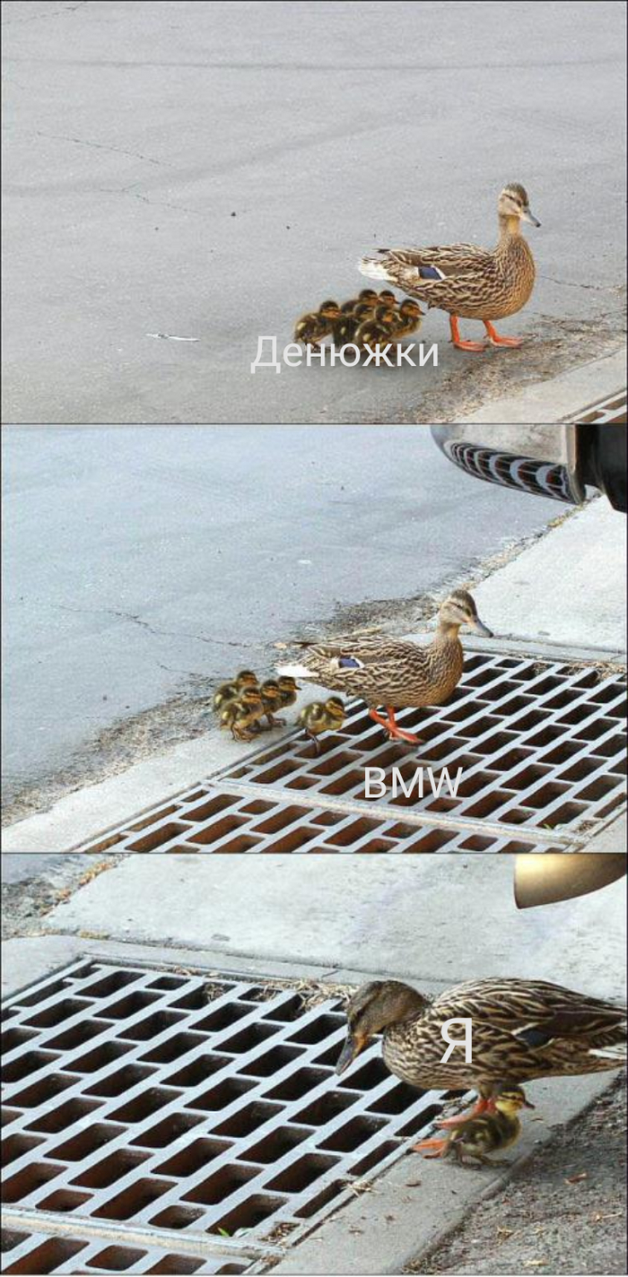    BMW BMW, , , 