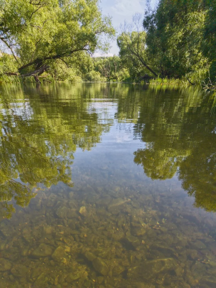 Cool river in your feed ... - My, Nature, Landscape, Camping, The photo, Mobile photography, Photo on sneaker, Photographer, Reflection, River, Sky, Summer