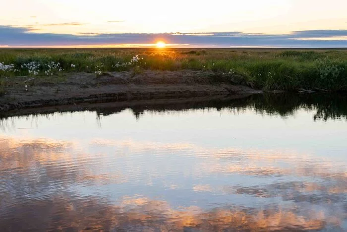 YAMAL - White Nights - My, White Nights, The photo, Longpost, Yamal