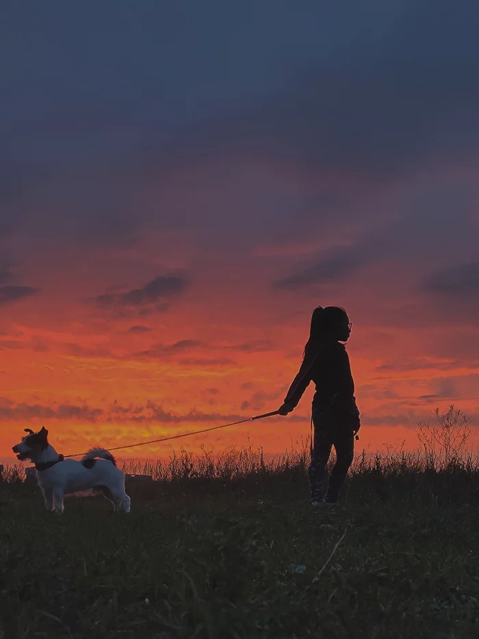 Crimson Sunset! - Chistye Prudy, Nature, Dog, Sky, Children, Sunset, My