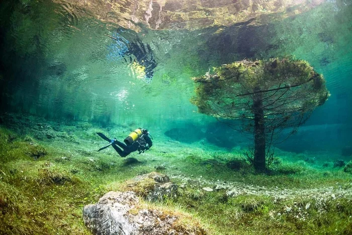 Gruner See: a magical mountain lake whose waters hide a real park - Informative, Lake, Facts, Around the world, Mountain Lake, Useful, Longpost, Austria