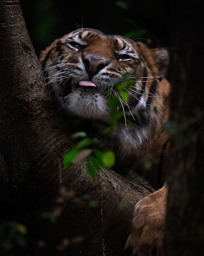 Как хорошо, когда некуда торопиться