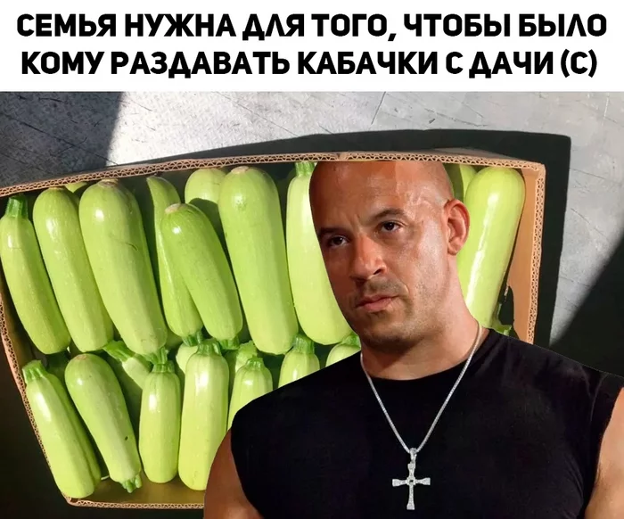 So it turns out why - Family, Zucchini, Useful, Picture with text, The fast and the furious