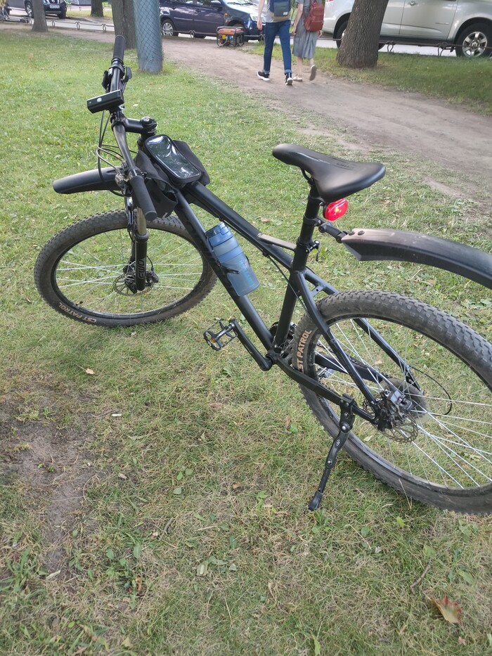 Про покатушки и дятлов