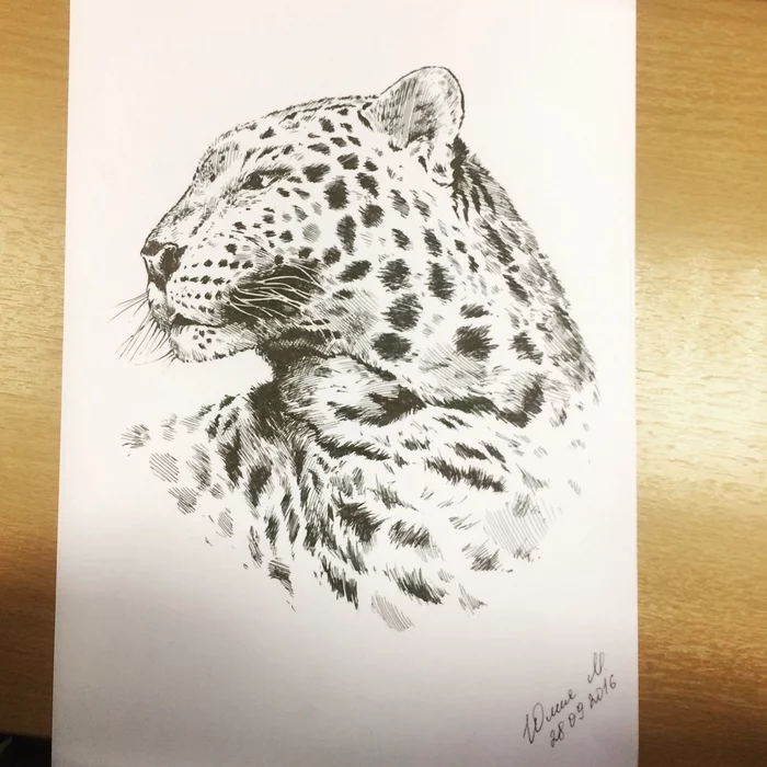 gel pen drawing - My, Cheetah, Drawing, Pen drawing, Graphics