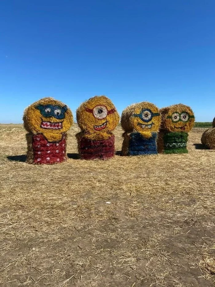 Minions of the Krasnodar Territory - Minions, The photo, Hay, Farmer