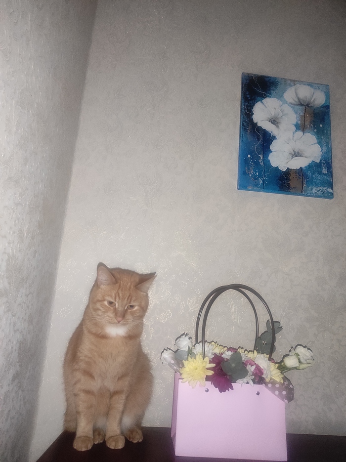 ���� �������� �������� ��������