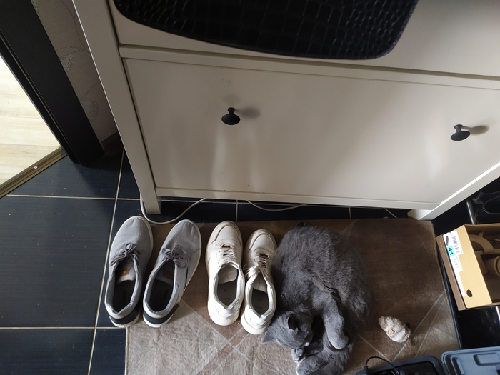 ��� ������� �����