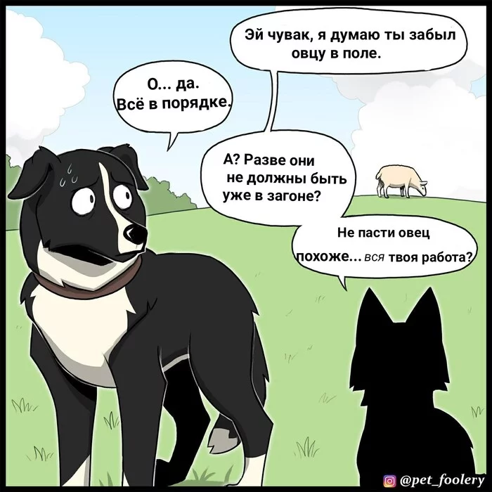 Sheepdog - Sheeps, Dog, Comics, Pets, Pet foolery, Video, Longpost, GIF with background, cat