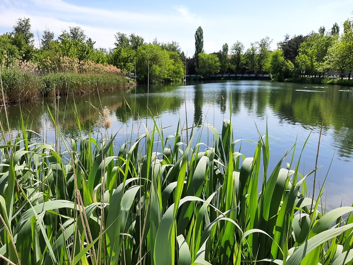 �������� �������� � ������� ��������!