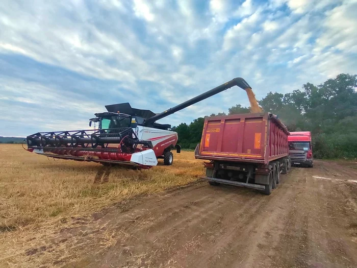 Grain harvesting and more, more, more... - My, Сельское хозяйство, Seeds, Wheat, Pasta, Sunflower, Corn, Tractor, Combine harvester, Cleaning, Video, Youtube, Longpost