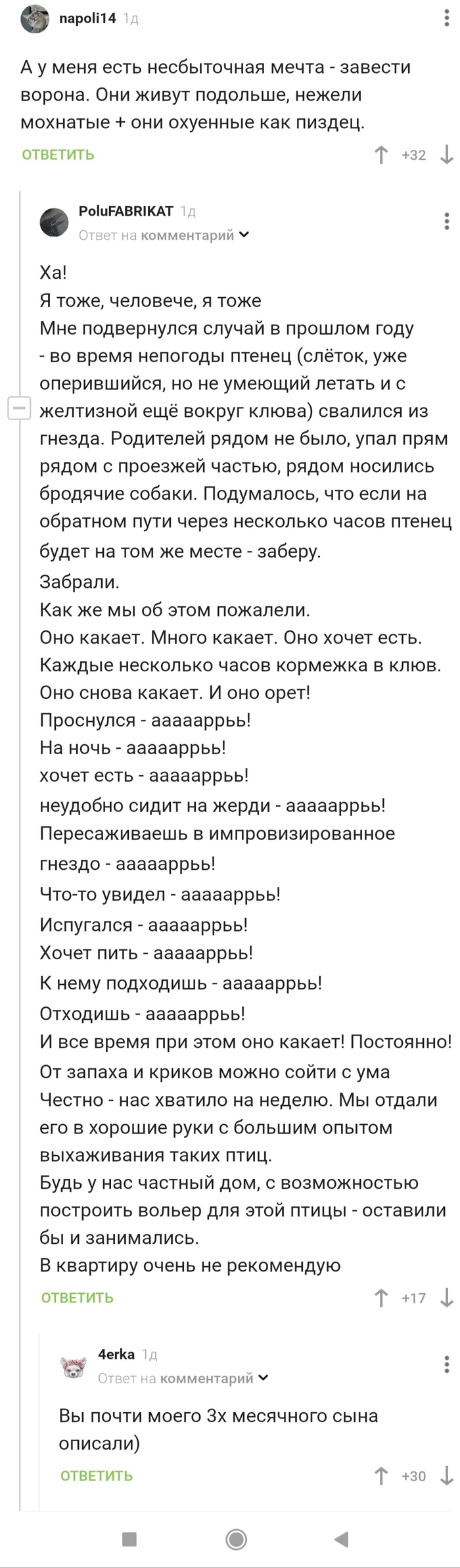 Ворон: истории из жизни, советы, новости, юмор и картинки — Все посты |  Пикабу