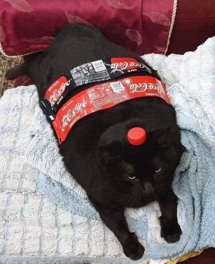 Coca-Cat-Cola
