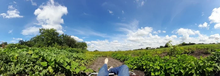 Good day to lie down - The photo, Summer, Nature, Chernozemye