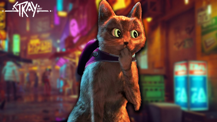Stray imPoster Stray, ,   , , , Photoshop