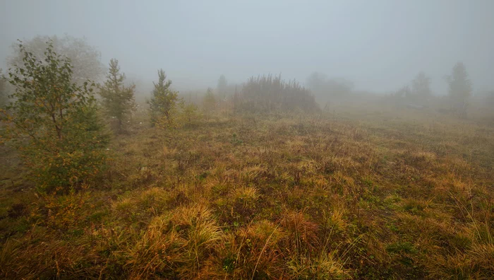 Morning in the mountains - My, Travel across Russia, Travels, Whisper, Photo tour, Hike, Longpost, The photo