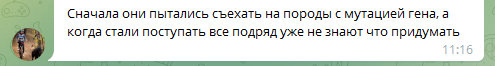 Кто заплатит за отравленных животных? - Моё, Помощь животным, Приют для животных, Спасение животных, Коты и собаки вместе, Домашние животные, Ветеринария, Собака, Бездомные животные, Котята, Породы собак, Дрессировка собак, Собачьи будни, Собачники, Россельхознадзор, Ветеринар, Ветеринарная клиника, Щенки, Клещ, Защита от клещей, Длиннопост