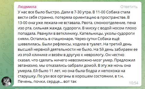 Кто заплатит за отравленных животных? - Моё, Помощь животным, Приют для животных, Спасение животных, Коты и собаки вместе, Домашние животные, Ветеринария, Собака, Бездомные животные, Котята, Породы собак, Дрессировка собак, Собачьи будни, Собачники, Россельхознадзор, Ветеринар, Ветеринарная клиника, Щенки, Клещ, Защита от клещей, Длиннопост