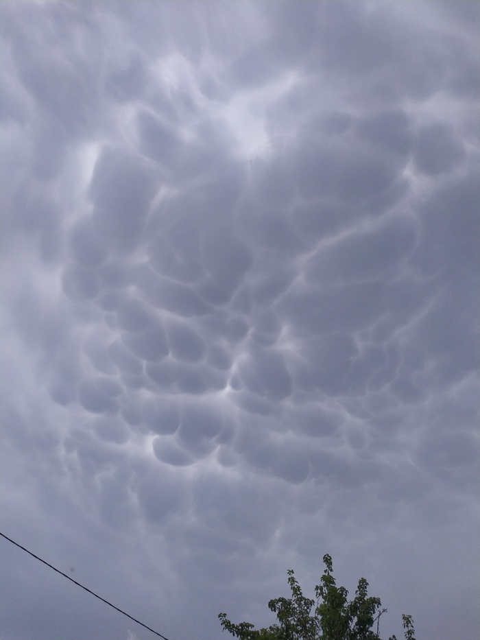 Mammatus