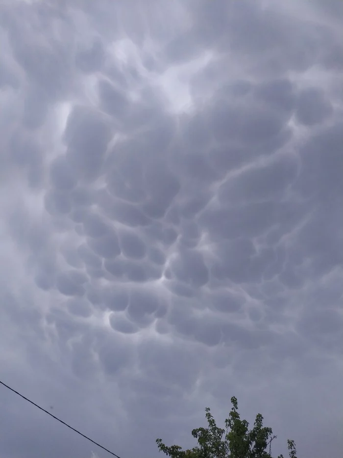 Mammatus - My, Clouds, Nature, beauty of nature, Meteorology, Mobile photography