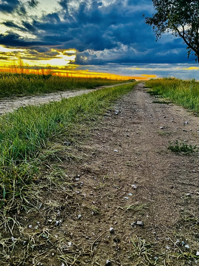 Где-то в кулундинских степях - Моё, Лето, Июль, Тепло, Степь, Закат, Фотография, Прогулка, Велосипед, Кулунда, Длиннопост