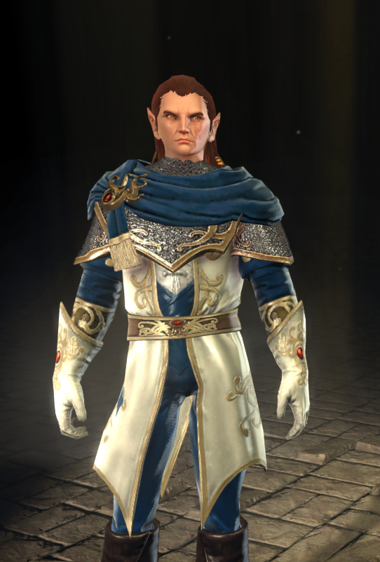 Biography of a Sun Elf - My, Neverwinter, Characters (edit), Biography, Story, RPG, MMORPG, Computer games, Elves, Hill, Treatment, Help, Compassion, Story, Author's story, Fantasy, Dungeons & dragons, Hiller, Healer, Longpost, Text