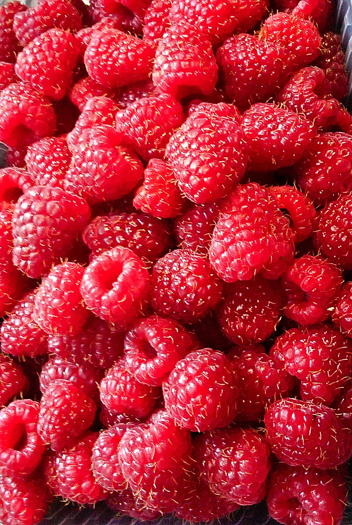 Again raspberry - My, Malinki, Gulkevichi, Summer, Longpost