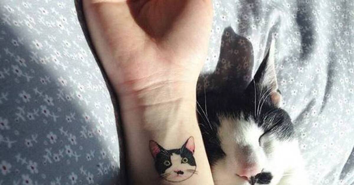 Тату кошка маленькая. Маленькие тату кошки. Тату кошка. Тату котенок. Тату котенок.