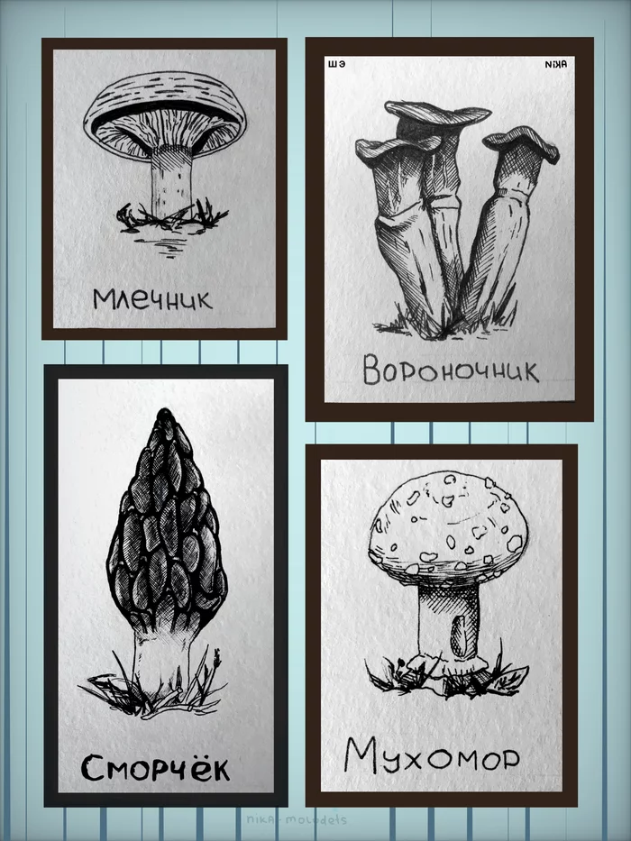 mushrooms) - My, Mushrooms, Etude, Sketch, Digital drawing, Graphics, Miniature, I'm an artist - that's how I see it