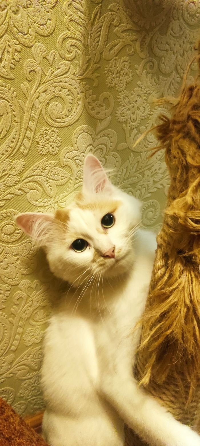 �� ���-�� �� ���� ������?