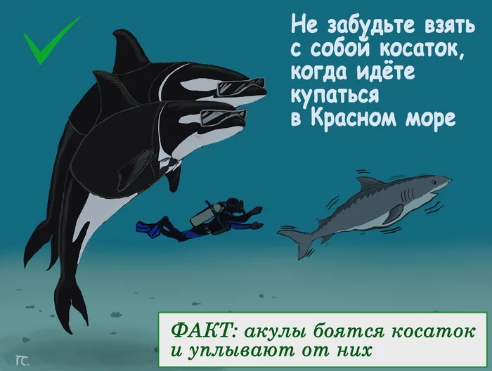 How to escape a shark - My, Shark, Killer whale, Caricature, Picture with text